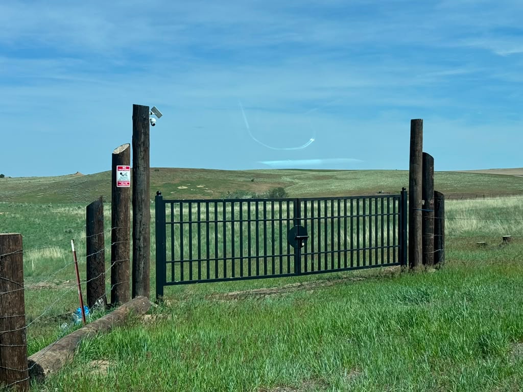 Bison hunt on the ranch